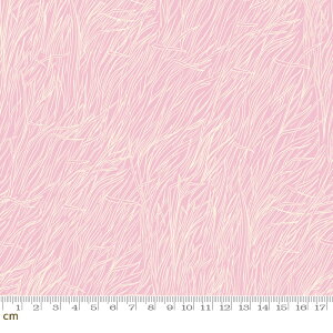 yModa _zFirefly-RS2074-13(2E-08) sN  A r[X^[ Ruby Star Rbg100% V[`O y10cmPʔ̔z