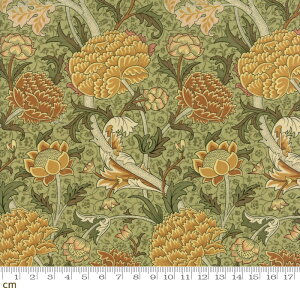 yModa _zWilliam Morris 2017-7300-14(2E-05)uE O[ ԕ A NVbN 啿 Rbg100 V[`Oy10cmPʔ̔z