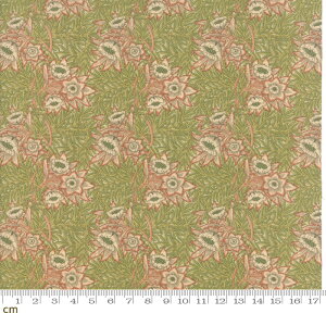 yModa _zWilliam Morris 2017-7302-11(2E-05)O[n ΐF ԕ A EBAEX Rbg100 V[`Oy10cmPʔ̔z