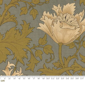 yModa _zBest of Morris-8217-18W([n)(3B-04) u[ A ԕ All 啿 Rbg100% xXgIuX EBAXy10cmPʔ̔z