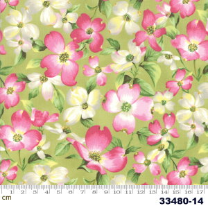 yModa _zSakura Park 2019-33480-14(2E-02) O[n sNn ԕ  t Rbg100% V[`O y10cmPʔ̔z