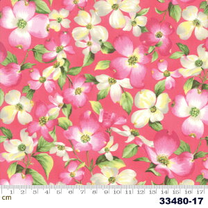 yModa _zSakura Park 2019-33480-17(2E-02) sNn ԕ  t Rbg100% V[`O y10cmPʔ̔z