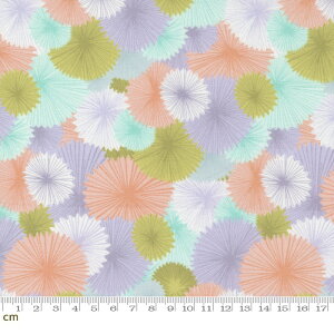 yModa _zsoiree-13374-18(2E-07) p[vn zCgn sNn pXeJ[ 􉽊w 킢 Rbg100% V[`O y10cmPʔ̔z