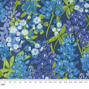 yModa _zWild Blossoms-48732-25(2B-03) lCr[n ԕ u[{lbg {^jJ Rbg100% V[`Oy10cmPʔ̔z