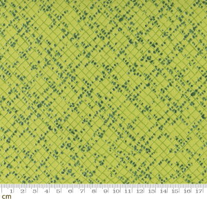 �yModa ���_�zWild Blossoms-48737-13(3B-03) �O���[���n �`�F�b�N�� �{�^�j�J�� �R�b�g��100% �V�[�`���O�y10cm�P�ʔ̔��z