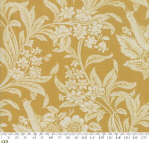 yModa _zRegency Sussex-42330-14(2D-02) x[Wn }X^[hCG[ ԕ A Rbg100% V[`O y10cmPʔ̔z