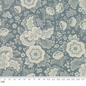 yModa _zRegency Sussex-42331-16(2D-02) u[ ԕ AeB[N 啿 Rbg100% V[`O y10cmPʔ̔z