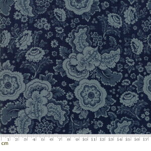 yModa _zRegency Sussex-42331-18(2D-02) u[n lCr[ F ԕ 啿 Rbg100% V[`O y10cmPʔ̔z