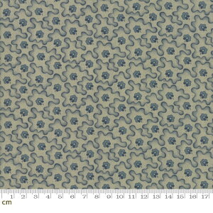 yModa _zRegency Sussex-42332-13(2D-02) x[W u[ F ԕ Be[W Rbg100% V[`O y10cmPʔ̔z