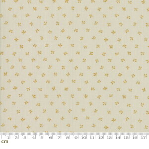 yModa _zRegency Sussex-42334-16(2D-02) x[Wn A [t tϕ  Rbg100% V[`O y10cmPʔ̔z