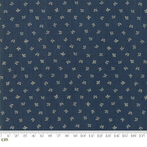 yModa _zRegency Sussex-42334-22(2D-02) u[n F A [t tϕ  Rbg100% V[`O y10cmPʔ̔z