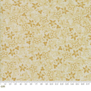 yModa _zRegency Sussex-42337-16(2D-02) }X^[hCG[n x[Wn F A [t tϕ Rbg100% V[`O y10cmPʔ̔z