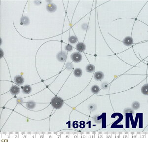 yModa _zDay in Paris-1681-12M(^bNH)(2C-03) CgO[n S[h hbg ^bNH Rbg100 V[`Oy10cmPʔ̔z