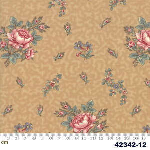 yModa _zRegency Romance-42342-12(2E-02)x[Wn uEn ԕ A Rbg100% V[`O y10cmPʔ̔z