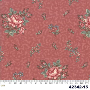 yModa _zRegency Romance-42342-15(2E-02)bhn ԕ A Rbg100% V[`O y10cmPʔ̔z