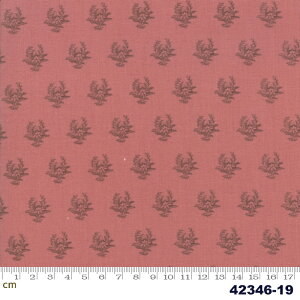 yModa _zRegency Romance-42346-19(2E-02) bhn A Rbg100% V[`O y10cmPʔ̔z