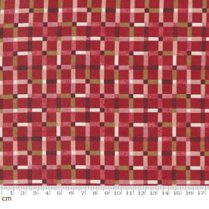 yModa _zJolly Good-30726-18(3B-01) bhn eNX` NX}X Rbg100 V[`Oy10cmPʔ̔z