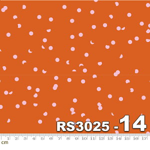 yModa _zTarrytown-RS3025-14(2E-04)IWn uEn sNn hbg Rbg100 V[`Oy10cmPʔ̔z