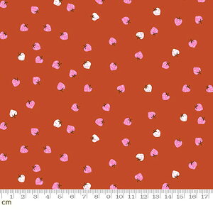 yModa _zStrawberry And Friends-RS3039-14(3A-02) sNn bhn zCgn C`S   Rbg100 V[`Oy10cmPʔ̔z