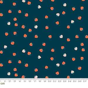 yModa _zStrawberry And Friends-RS3039-17(3A-02) C`S bhn lCr[n zCgn Rbg100 V[`Oy10cmPʔ̔z