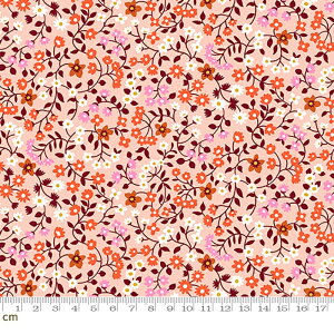 yModa _zStrawberry And Friends-RS3041-11(3A-02) uEn XJCu[n zCgn sNn ԕ Rbg100 V[`Oy10cmPʔ̔z