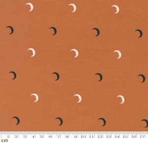 yModa _zSpellbound(XyoEh)-43147-13(3B-04) IWn  g nEB Rbg100% V[`Oy10cmPʔ̔z