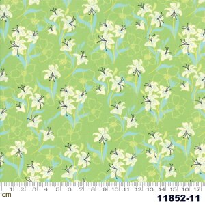 yModa _zKiamesha-11852-11(2E-02) O[ ԕ  |bv Rbg100% V[`Oy10cmPʔ̔z