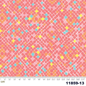 yModa _zKiamesha-11859-13(2E-02) R[sN 􉽊w  |bv Rbg100% V[`Oy10cmPʔ̔z