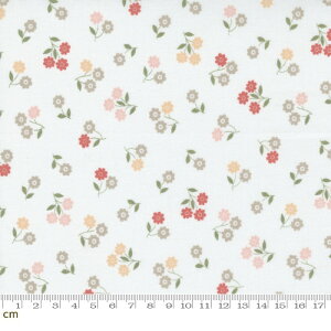 yModa _zCountry Rose-5173-11(2E-08) zCg ԕ Rbg100% V[`Oy10cmPʔ̔z