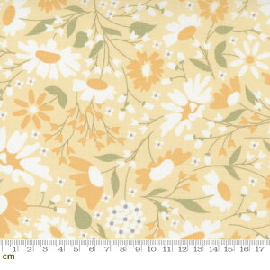 yModa _zButtercup & Slate-29151-13(2E-08) CG[ ԕ 킢 Rbg100% V[`O 110cmy10cmPʔ̔z