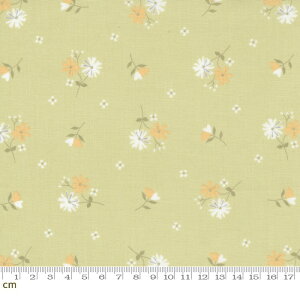 yModa _zButtercup & Slate-29153-15(2E-08) O[ ԕ Rbg100% V[`Oy10cmPʔ̔z