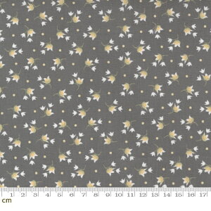 yModa _zButtercup & Slate-29154-17(2E-08) `R[ O[ ԕ 킢 Rbg100% V[`O 110cmy10cmPʔ̔z