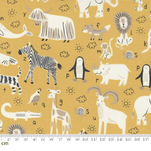 yModa _zABC xyz-20813-14(2E-07) CG[n }X^[hCG[  At@xbg Rbg100% V[`Oy10cmPʔ̔z