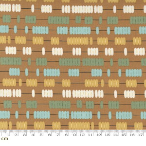 yModa _zABC xyz-20815-15(2E-07) CG[n 􉽕 XgCv Rbg100% V[`Oy10cmPʔ̔z