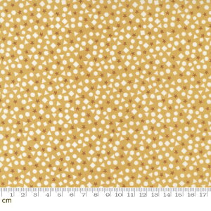 yModa _zABC xyz-20816-14(2E-07) CG[n 􉽕  Rbg100% V[`Oy10cmPʔ̔z