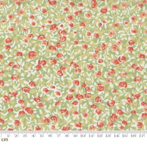 yModa _zGarden Society-11893-17(2E-06) O[n ԕ Rbg100% V[`Oy10cmPʔ̔z