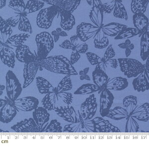 yModa _zGarden Society-11895-13(2E-06) u[n  Rbg100% V[`Oy10cmPʔ̔z