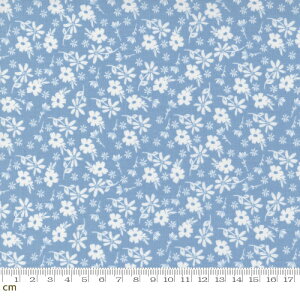 yModa _zEmma-37631-19(2E-06) ԕ zCgn XJCu[n Rbg100% V[`Oy10cmPʔ̔z