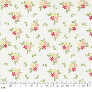 yModa _zEmma-37632-11(2E-06) ԕ zCgn O[n bhn CG[n sNn Rbg100% V[`Oy10cmPʔ̔z