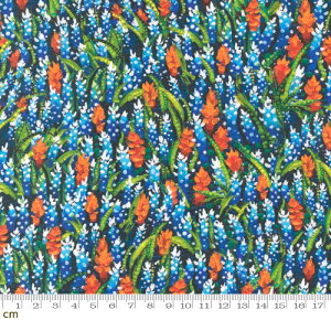 yModa _zEnchanted Dreamscapes-51260-11(2E-03) ԕ u[ _Ci~bN Rbg100 V[`O y10cmPʔ̔z