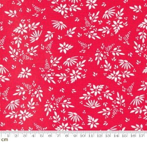 yModa _zFavorite Things-37650-24(3B-03) bh ԕ NX}X NVbN _ Rbg100% V[`Oy10cmPʔ̔z