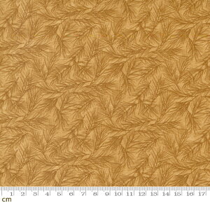 yModa _zShoppes On Main-6922-13(3B-03) uE A NX}X mX^WbN Rbg100% V[`Oy10cmPʔ̔z