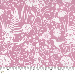 yModa _zWild Meadow-43132-16(2E-09) sNn PF A   Rbg100% V[`Oy10cmPʔ̔z
