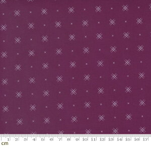 yModa _zBeyond Bella-16740-217(2E-07) C bhn 䕿 PF Rbg100% V[`Oy10cmPʔ̔z