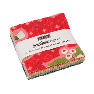 yModa _zAll-Weather Friend-24060MC(42) 6.5cm×6.5cm ԕ `FbN zCgn bhn O[n u[n vJbg JbgNX Rbg100 V[`O 110cm