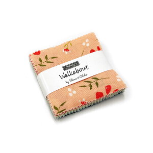 yModa _zWalkabout-37560MC 6.5×6.5cm (42) JbgNXZbg ԕ XgCv 􉽊w 킢 vJbg ~j`[ nTv Rbg100% V[`O