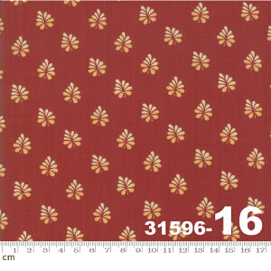 yModa _zSarahs Story-31596-16(2D-03)x[Wn uEn bhn A AeB[N Rbg100% V[`O y10cmPʔ̔z