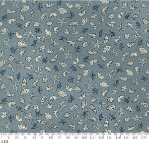 yModa _zTo The Sea-16931-16(2C-02) u[ C Lk mX^WbN Rbg100% V[`Oy10cmPʔ̔z