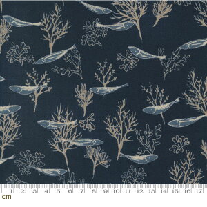 yModa _zTo The Sea-16932-12(2C-02) u[n F  C Rbg100% V[`Oy10cmPʔ̔z