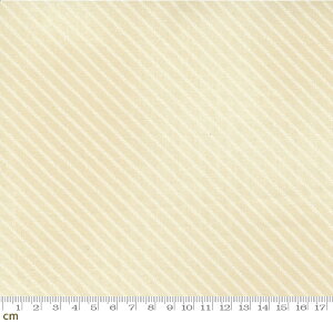 yModa _zTo The Sea-16934-22(2C-02) zCgn XgCv Rbg100% V[`Oy10cmPʔ̔z